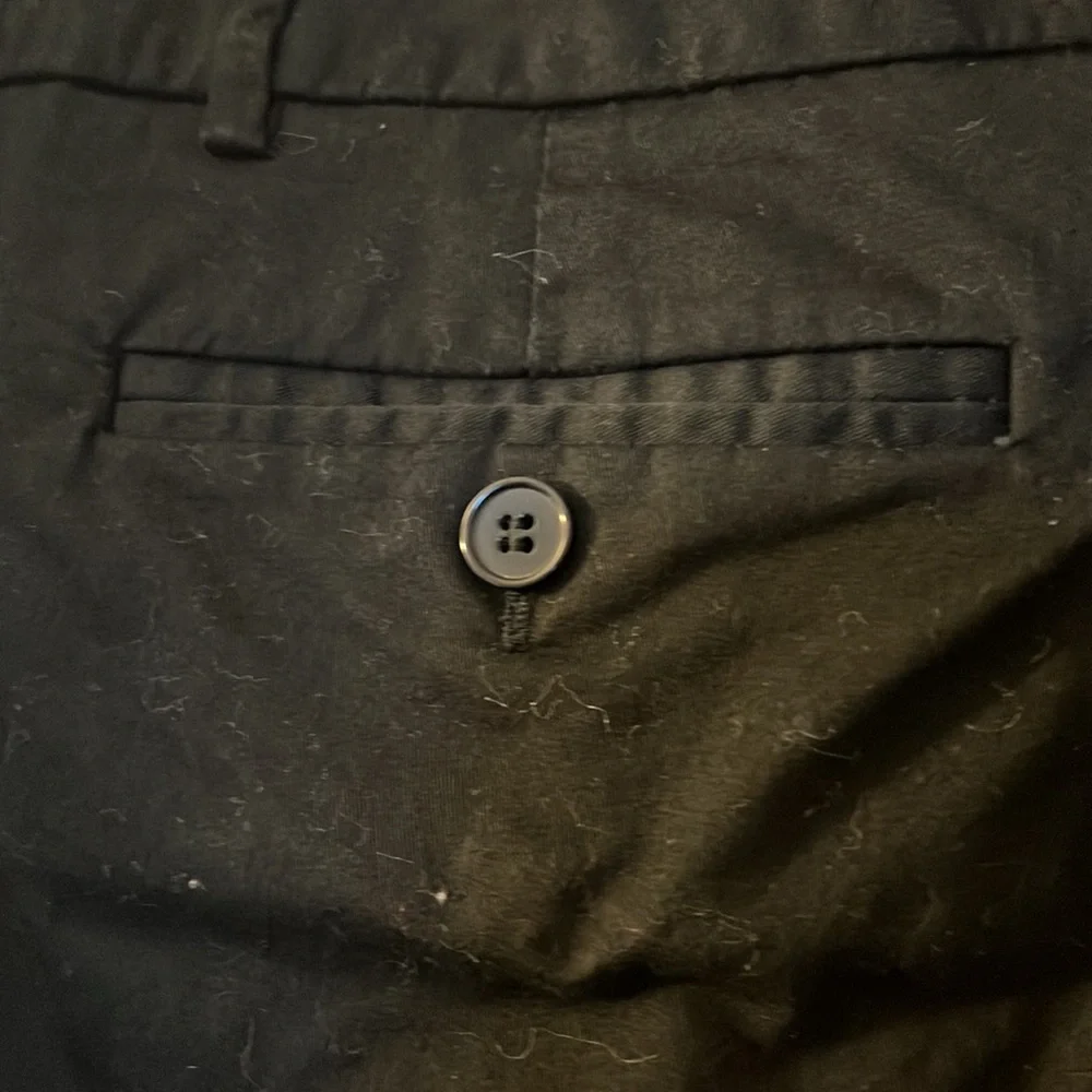 New York & Company Shorts - Picture 5 of 8